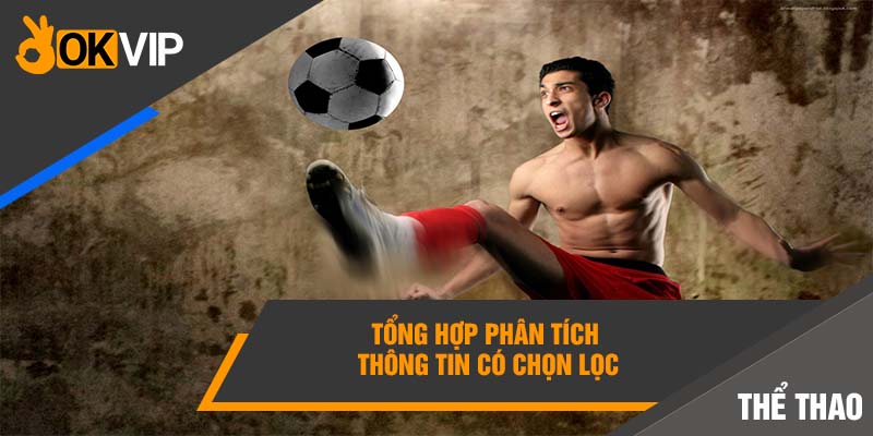 Tổng hợp phân tích thông tin có chọn lọc